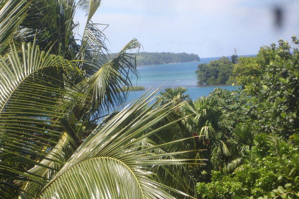 Finjam Cottage Port Antonio Luaran gambar