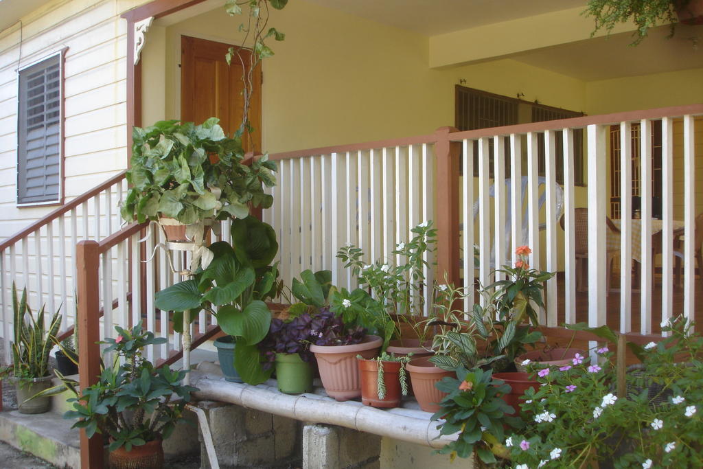 Finjam Cottage Port Antonio Luaran gambar