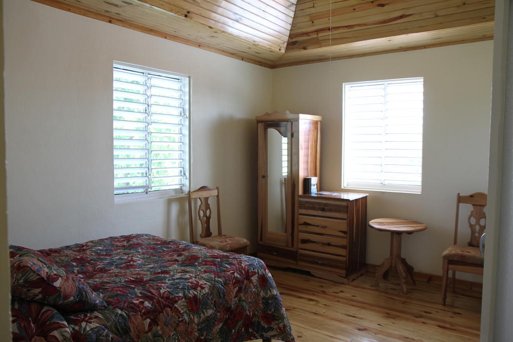 Finjam Cottage Port Antonio Bilik gambar