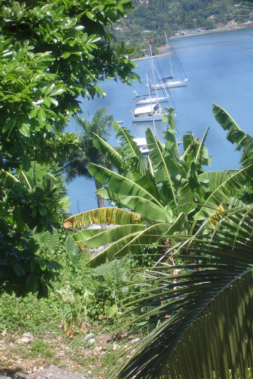 Finjam Cottage Port Antonio Luaran gambar